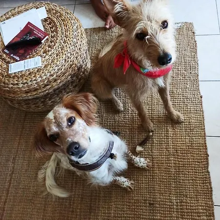 Attic Private Bedroom * Aljezur