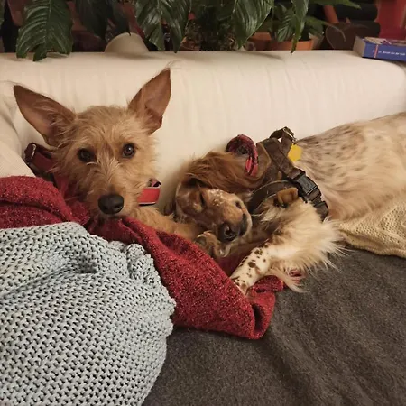 Attic Private Bedroom Quarto em Acomodações Particulares *