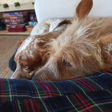 Attic Private Bedroom Quarto em Acomodações Particulares