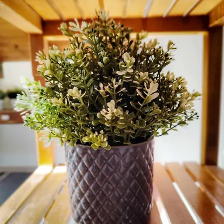 Quarto em Acomodações Particulares Attic Private Bedroom